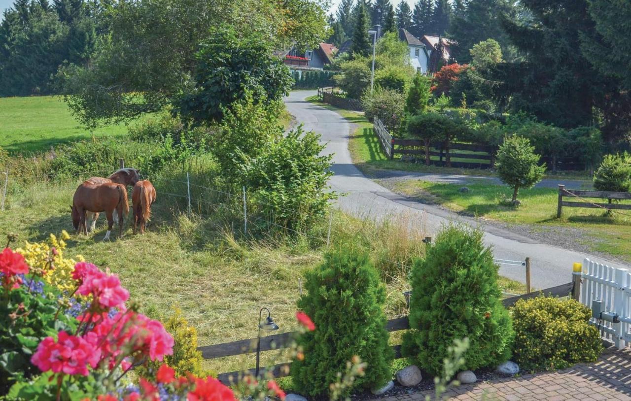 Galerie Haus Villa Braunlage Exteriör bild